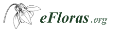 eFloras logo